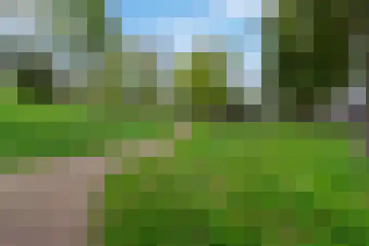 Longkruid 25 Veenendaal thumbnail 40