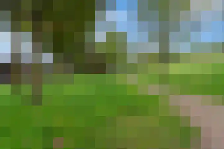 Longkruid 25 Veenendaal thumbnail 41