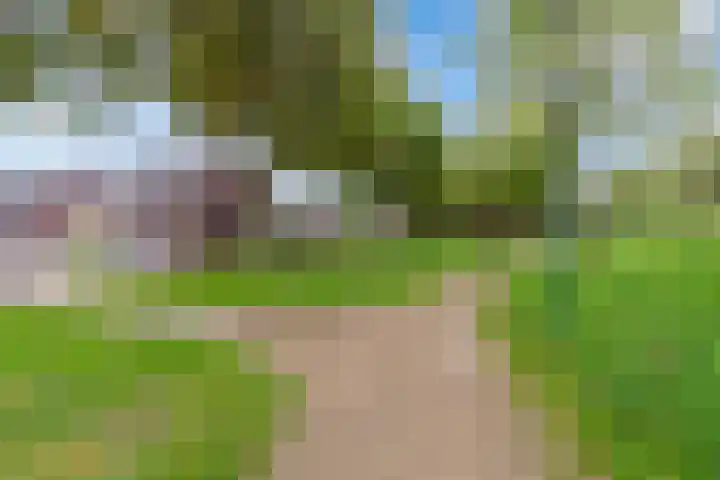 Longkruid 25 Veenendaal thumbnail 42