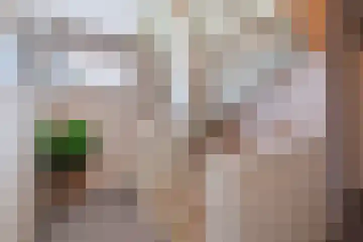 Longkruid 41 Leek thumbnail 23