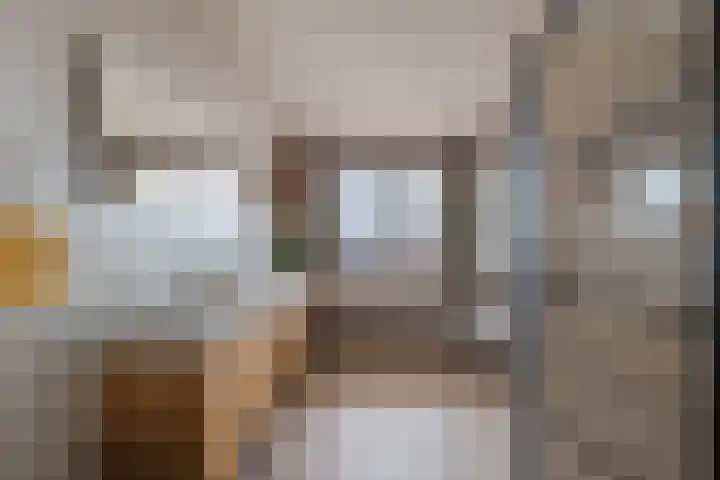Longkruid 41 Leek thumbnail 24