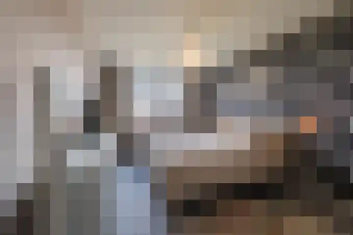 Longkruid 41 Leek thumbnail 34