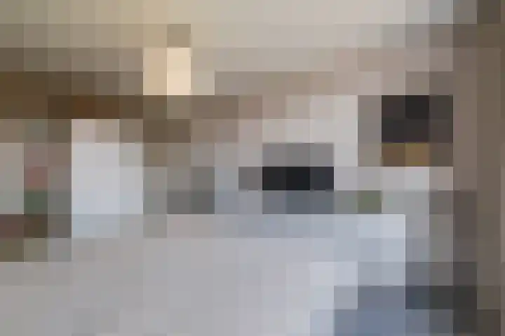 Longkruid 41 Leek thumbnail 35