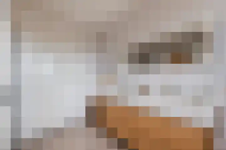 Longkruid 41 Leek thumbnail 4
