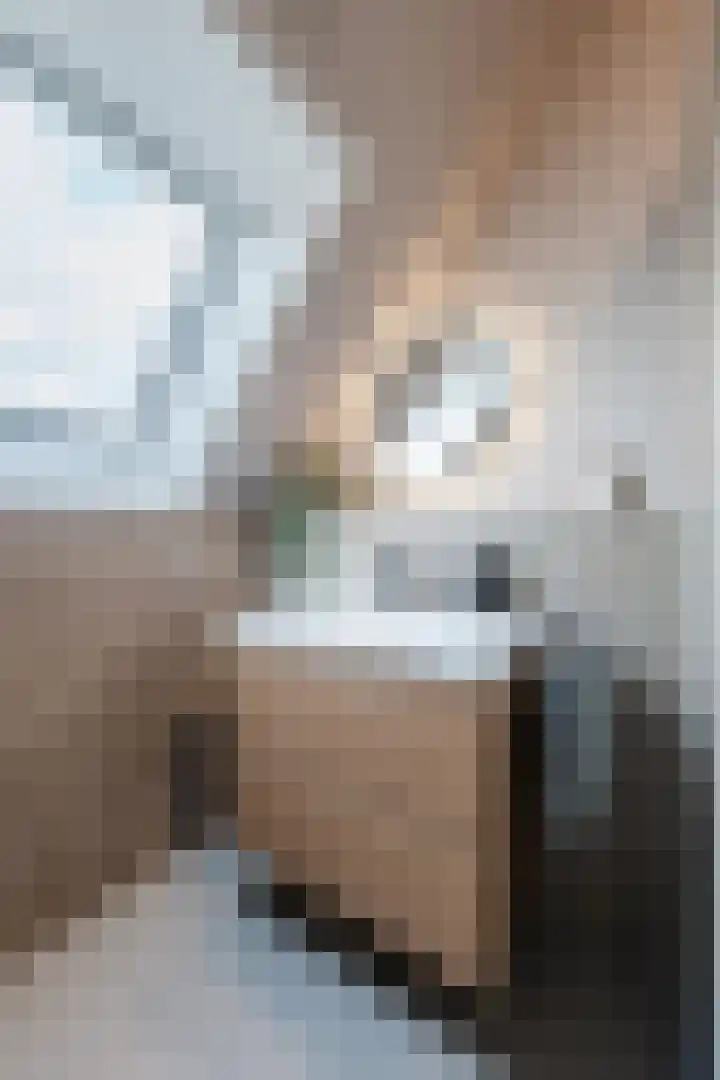 Longkruid 41 Leek thumbnail 47