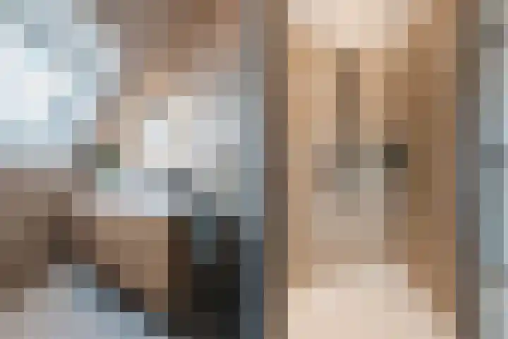 Longkruid 41 Leek thumbnail 48