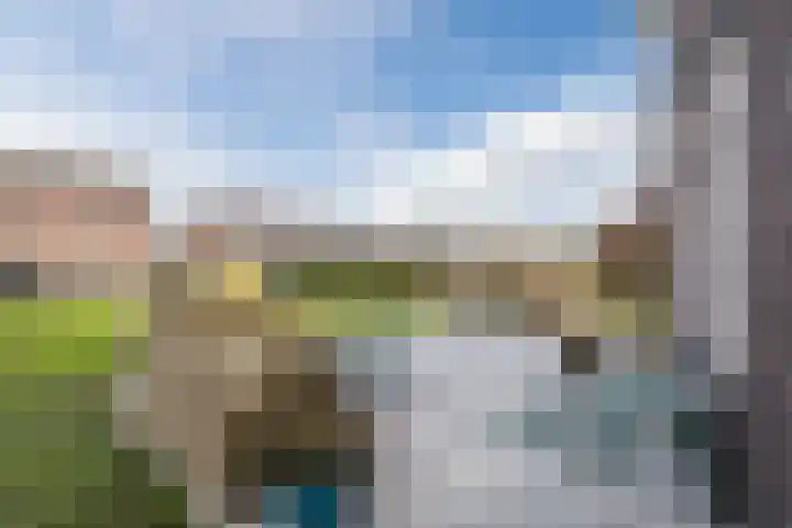 Longkruid 41 Leek thumbnail 5