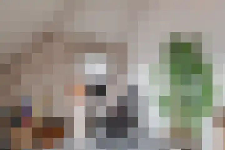 Longkruid 41 Leek thumbnail 50