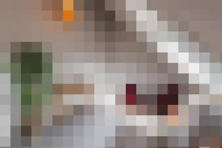 Longkruid 41 Leek thumbnail 51