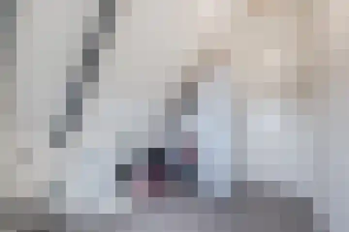 Longkruid 41 Leek thumbnail 54