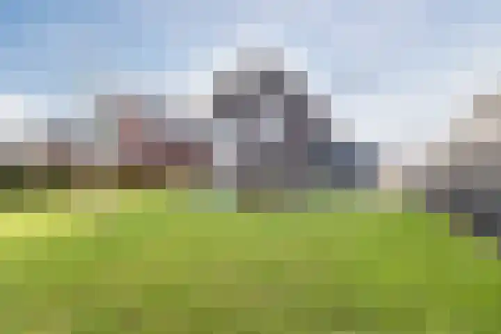 Longkruid 41 Leek thumbnail 55