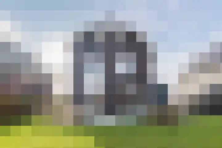 Longkruid 41 Leek thumbnail 56
