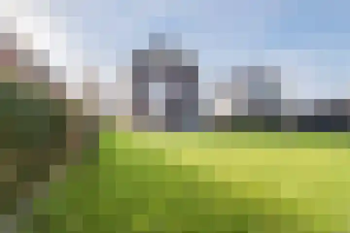 Longkruid 41 Leek thumbnail 57