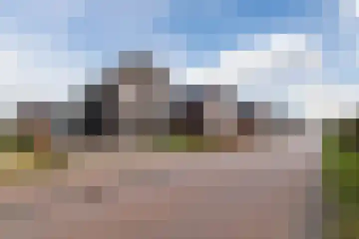 Longkruid 41 Leek thumbnail 62