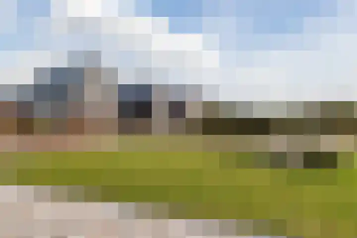 Longkruid 41 Leek thumbnail 63
