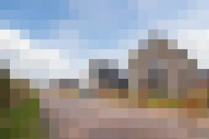 Longkruid 41 Leek thumbnail 7