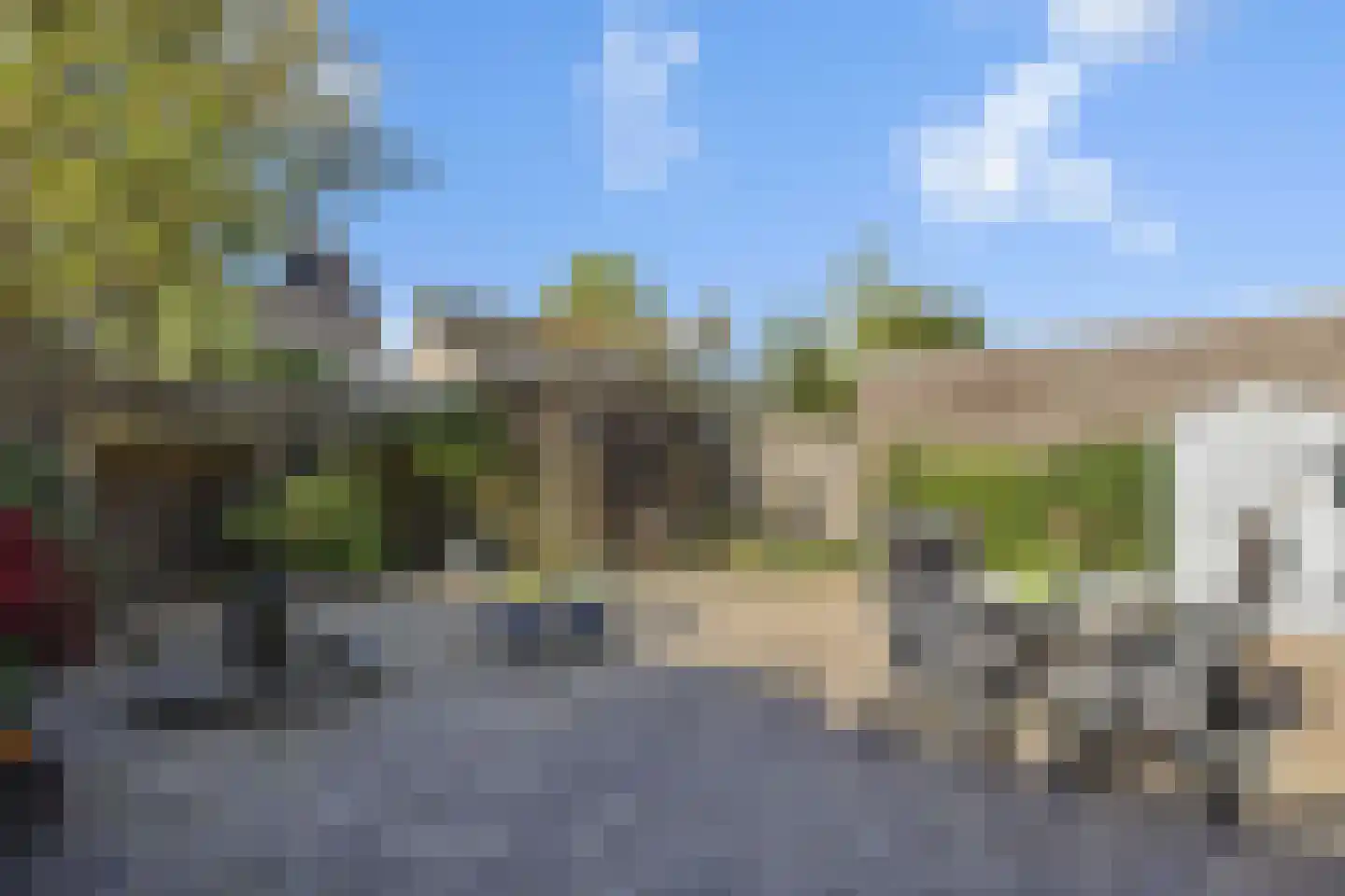 Longkruid 5 Asten thumbnail 31
