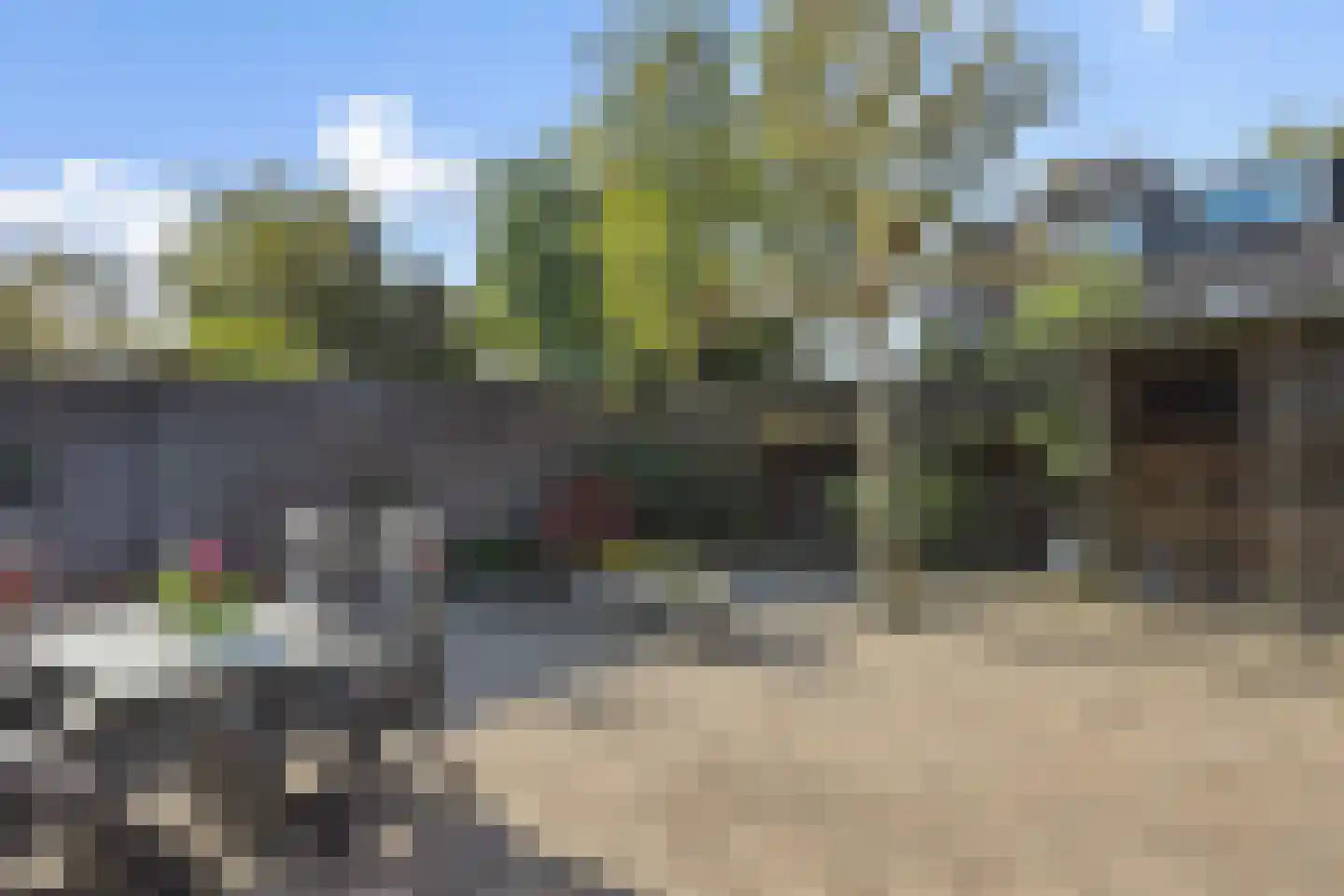 Longkruid 5 Asten thumbnail 32
