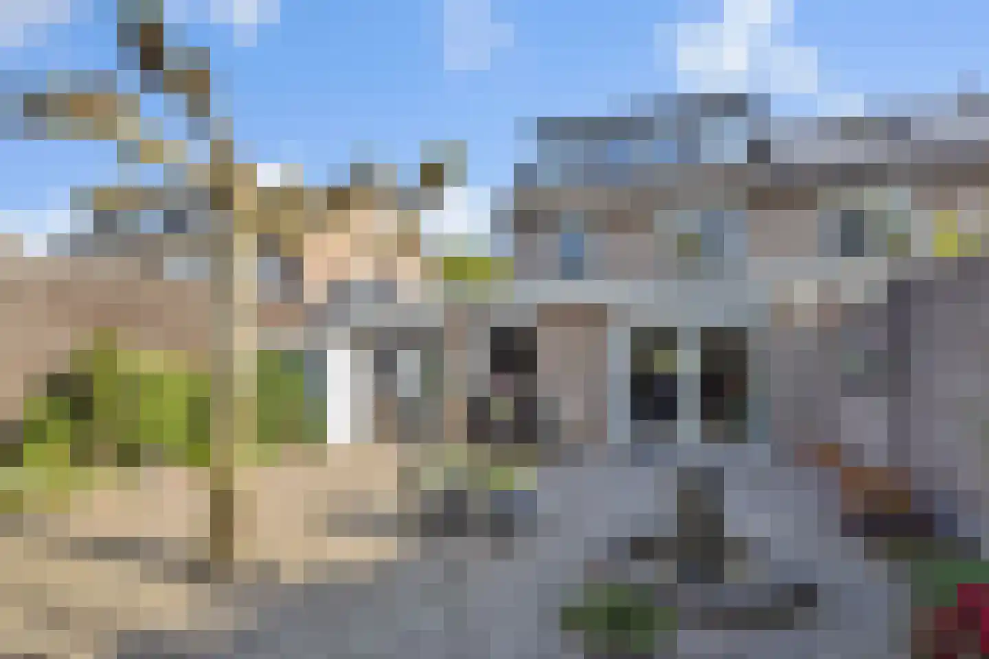 Longkruid 5 Asten thumbnail 33