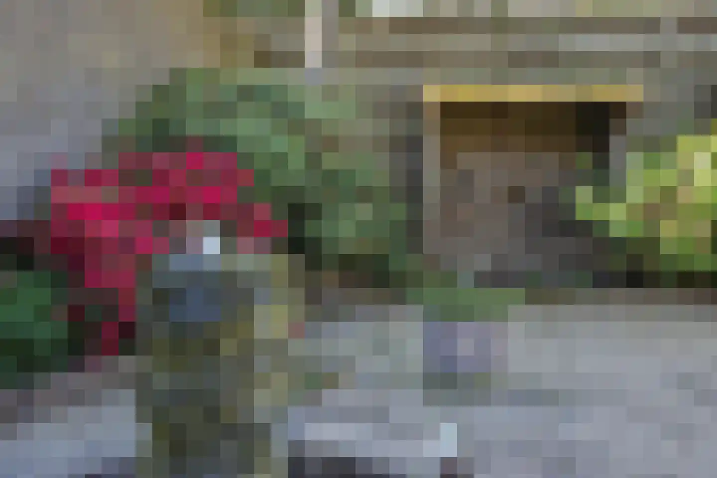 Longkruid 5 Asten thumbnail 34