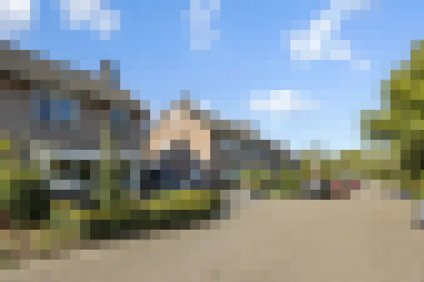 Longkruid 5 Asten thumbnail 37