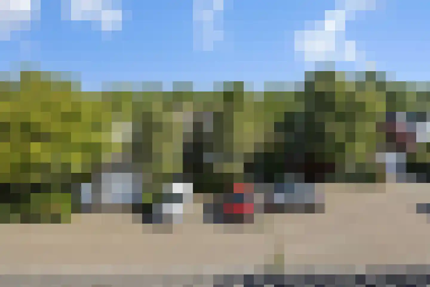 Longkruid 5 Asten thumbnail 38