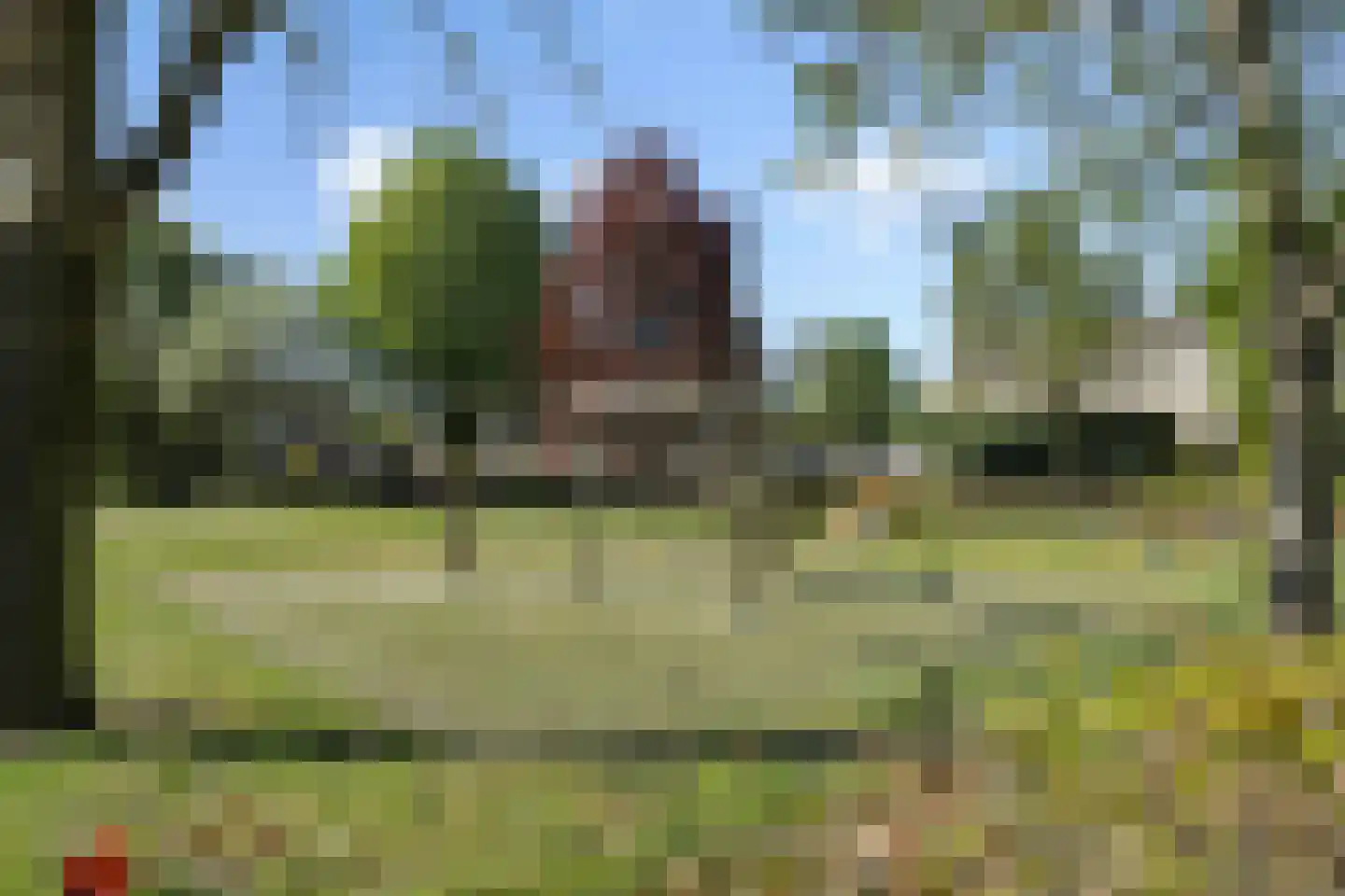 Longkruid 5 Asten thumbnail 39