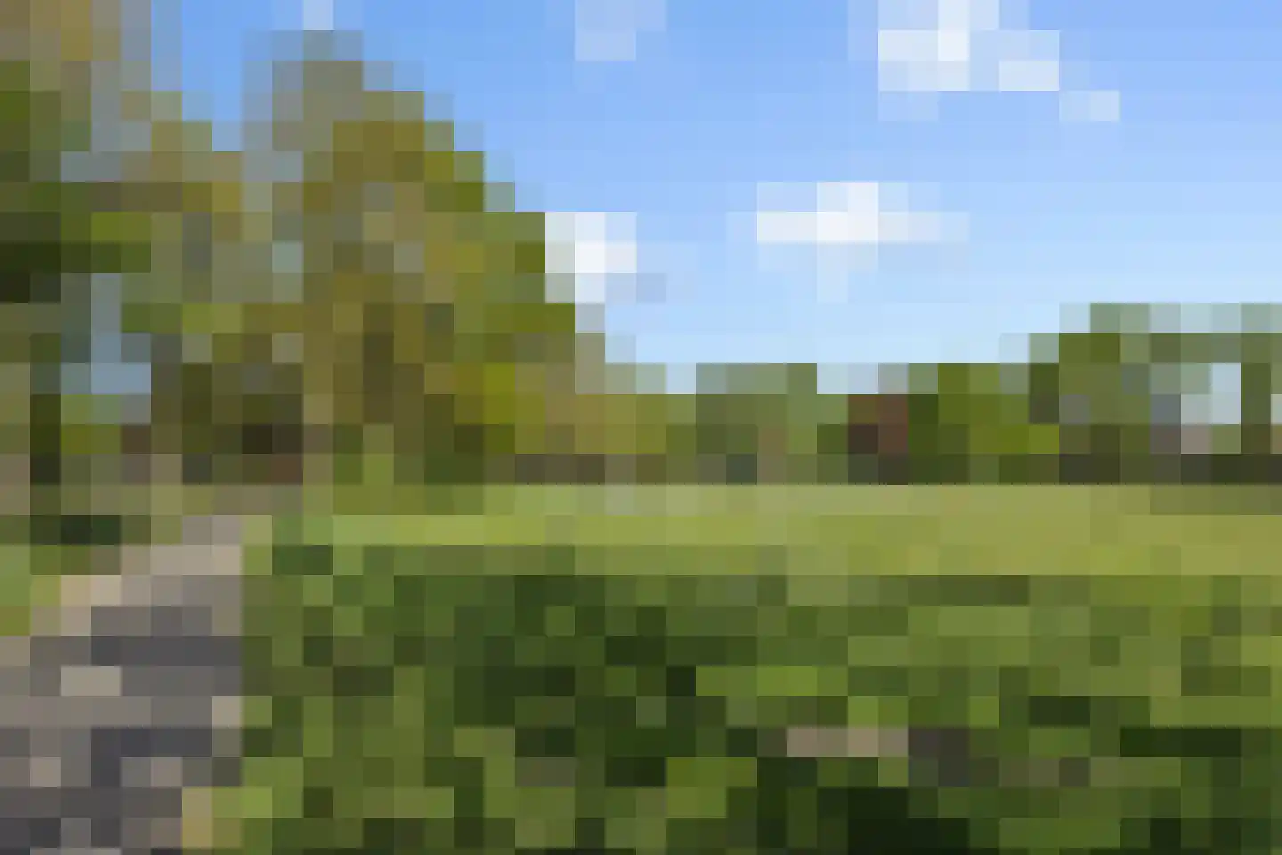 Longkruid 5 Asten thumbnail 40