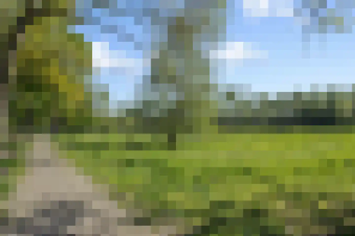Longkruid 5 Asten thumbnail 41