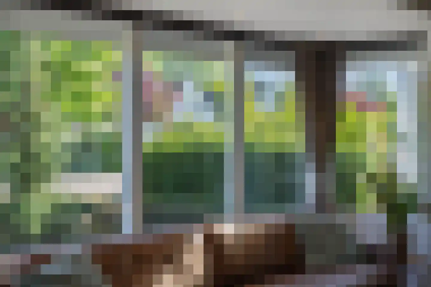 Longkruid 5 Asten thumbnail 6