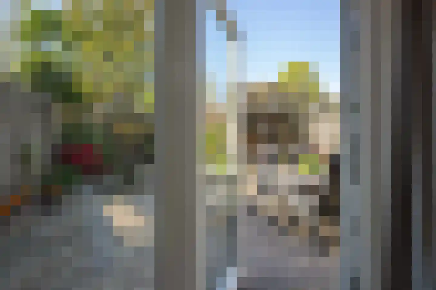Longkruid 5 Asten thumbnail 9
