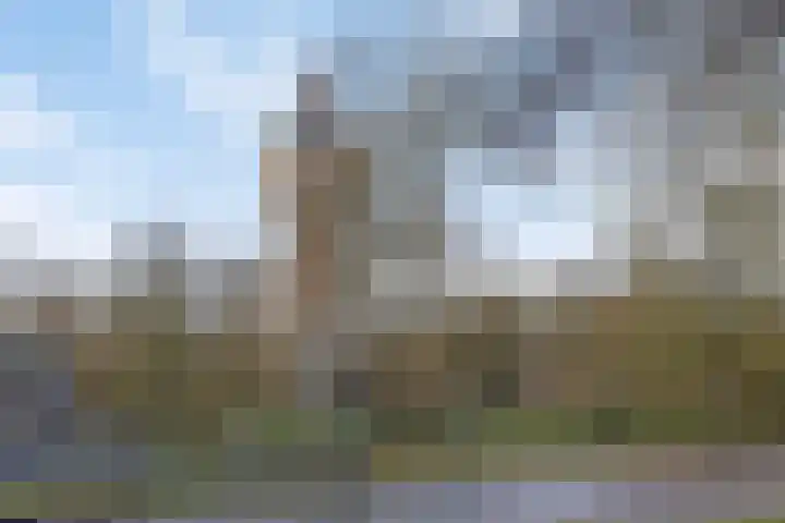 Longoliusstraat 4 Deventer thumbnail 41