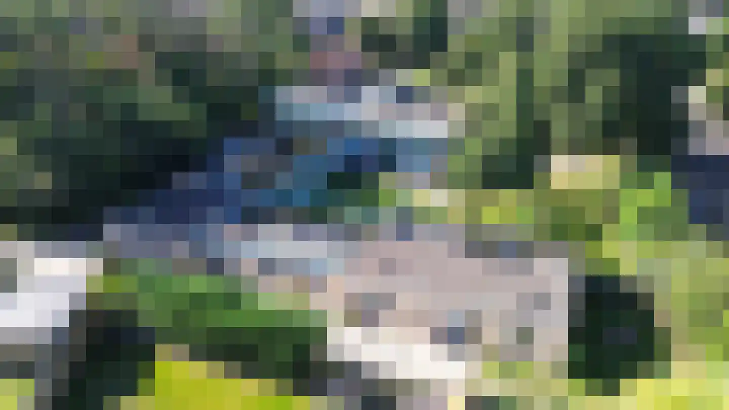 Longway 37 West-Terschelling