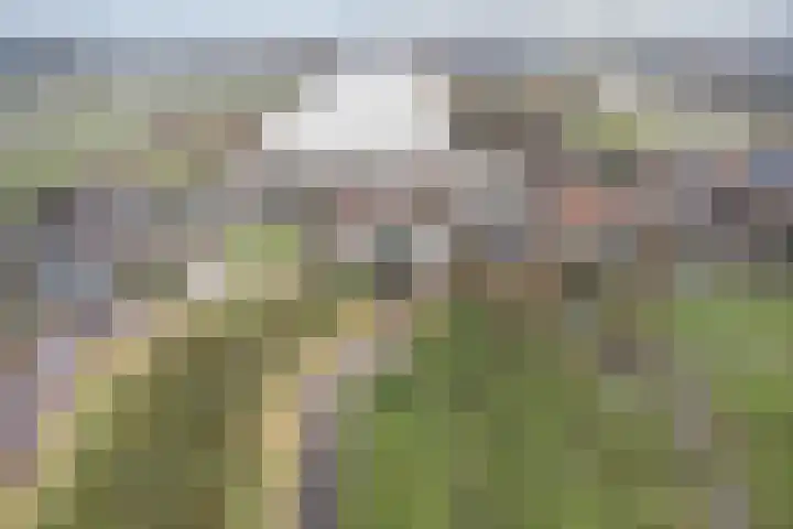 Longway 37 West-Terschelling thumbnail 20