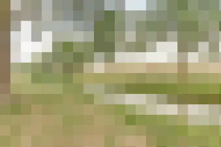 Longway 37 West-Terschelling thumbnail 31