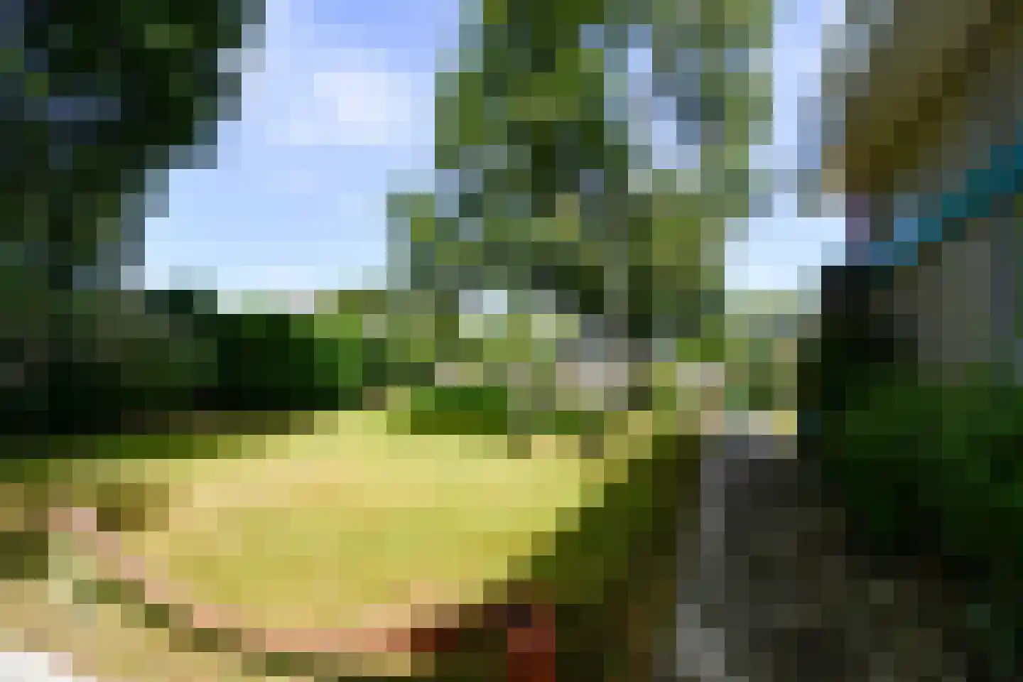 Longway 37 West-Terschelling thumbnail 38