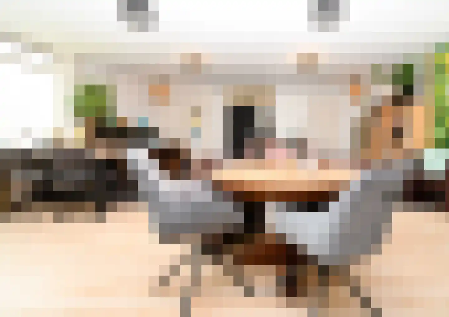 Longway 37 West-Terschelling thumbnail 43