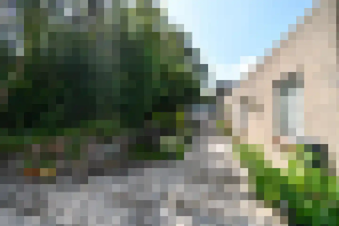 Longway 37 West-Terschelling thumbnail 53