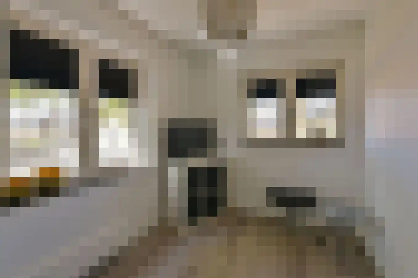 Loniusstraat 24 Hoorn thumbnail 17