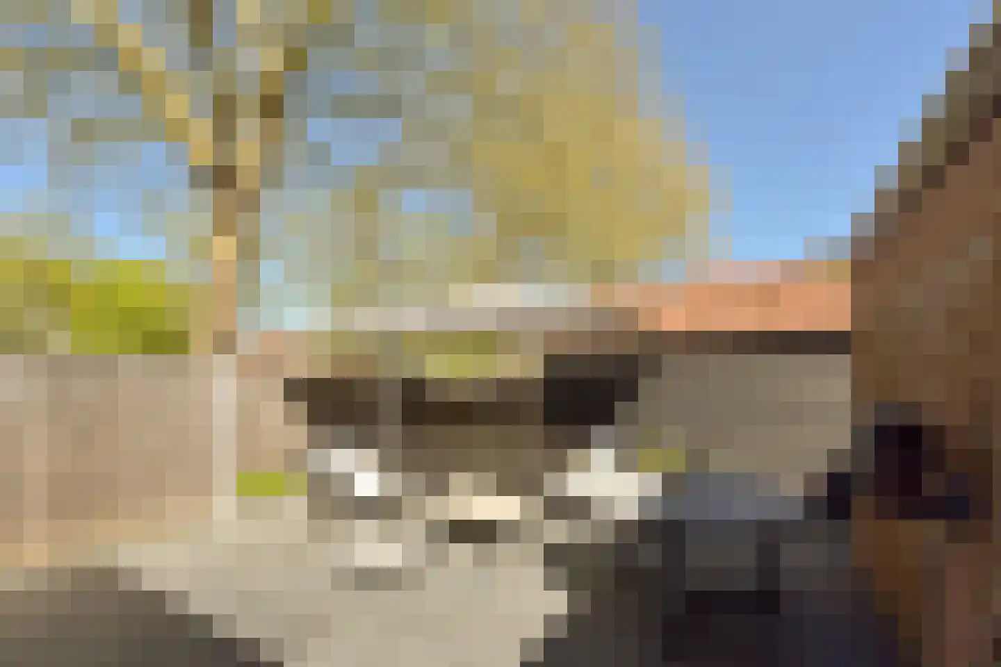 Loniusstraat 24 Hoorn thumbnail 25