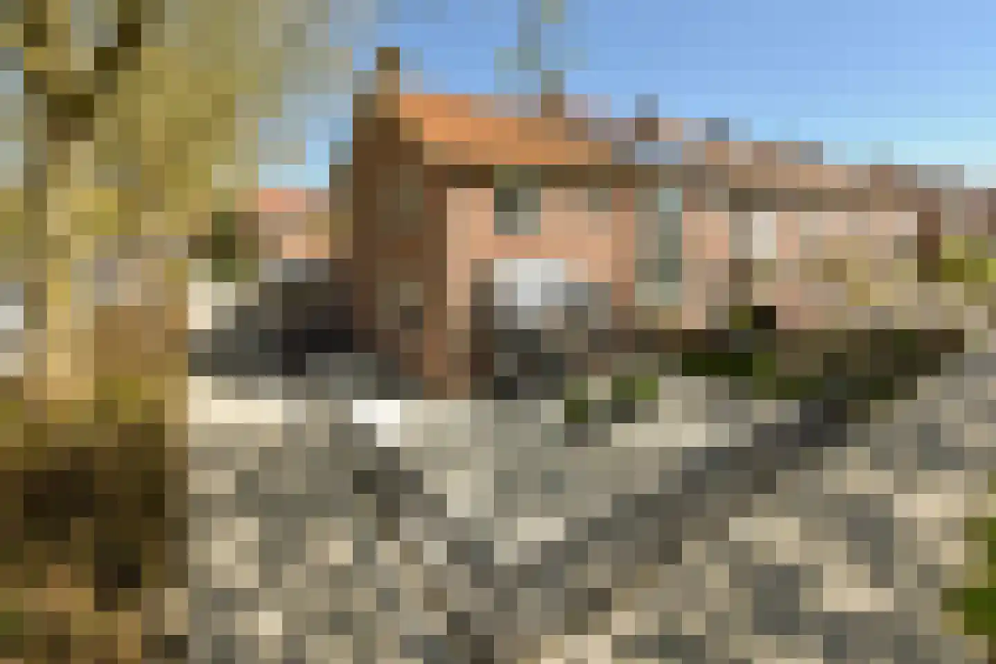 Loniusstraat 24 Hoorn thumbnail 31
