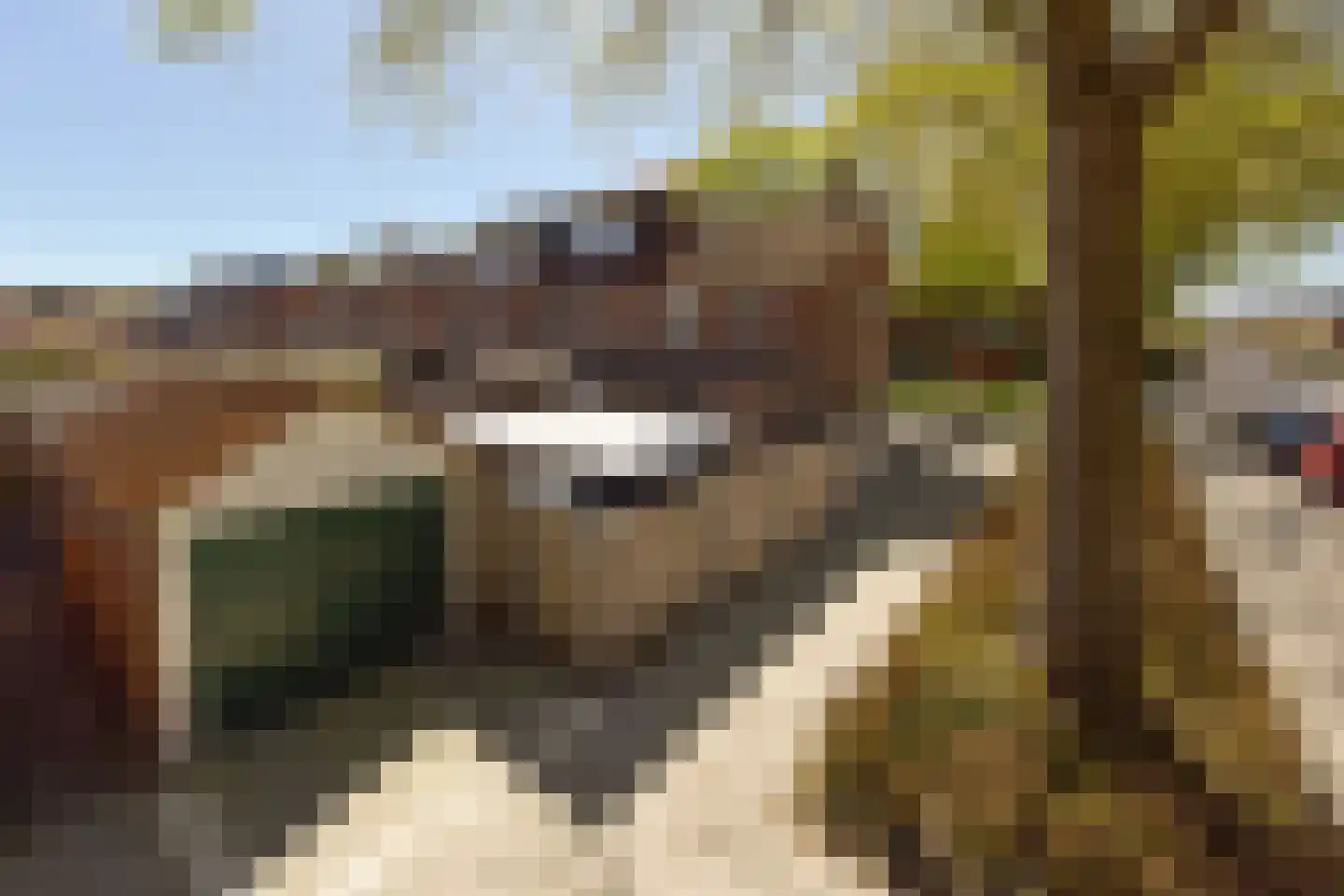Loniusstraat 24 Hoorn thumbnail 35