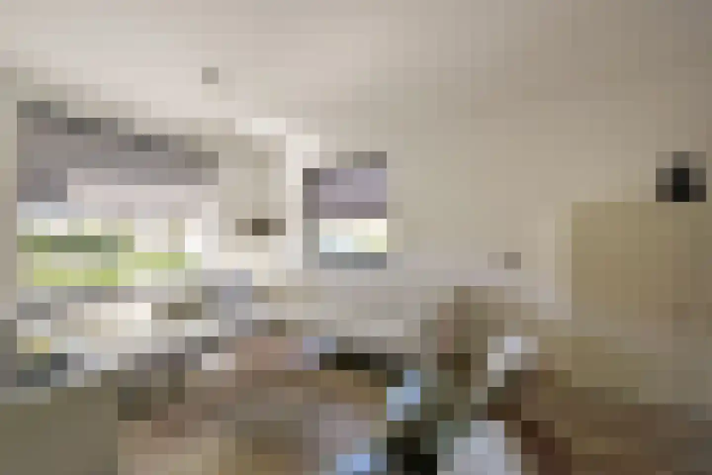 Loniusstraat 24 Hoorn thumbnail 4