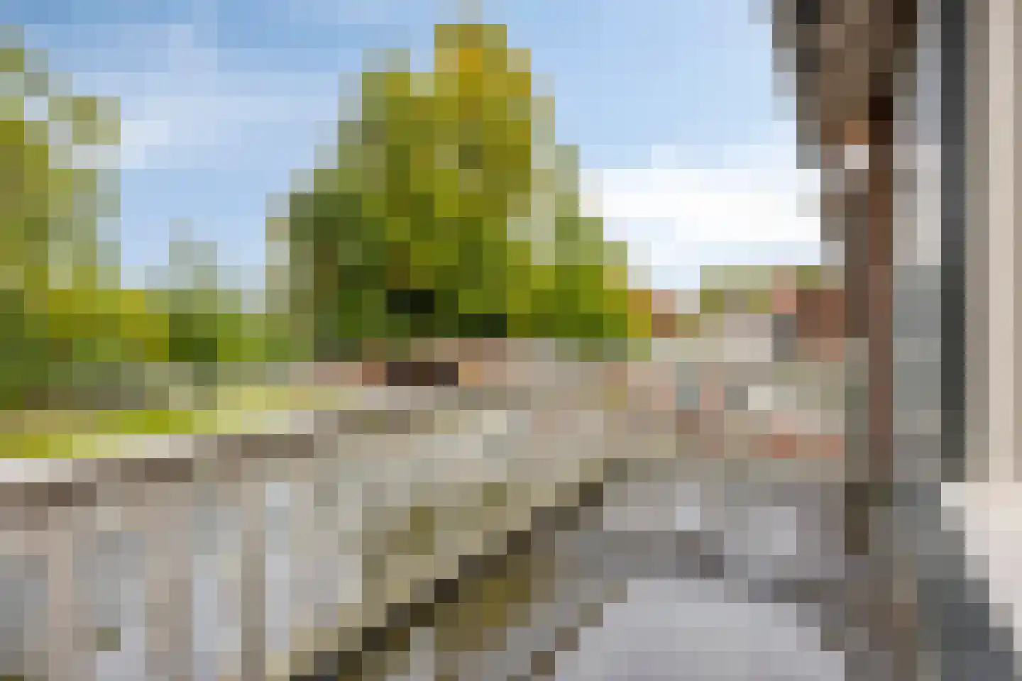 Lonneker Molenweg 17 Enschede thumbnail 22