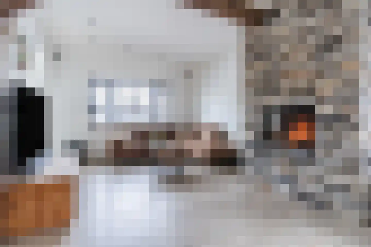 Loo 15 Bergeijk thumbnail 12