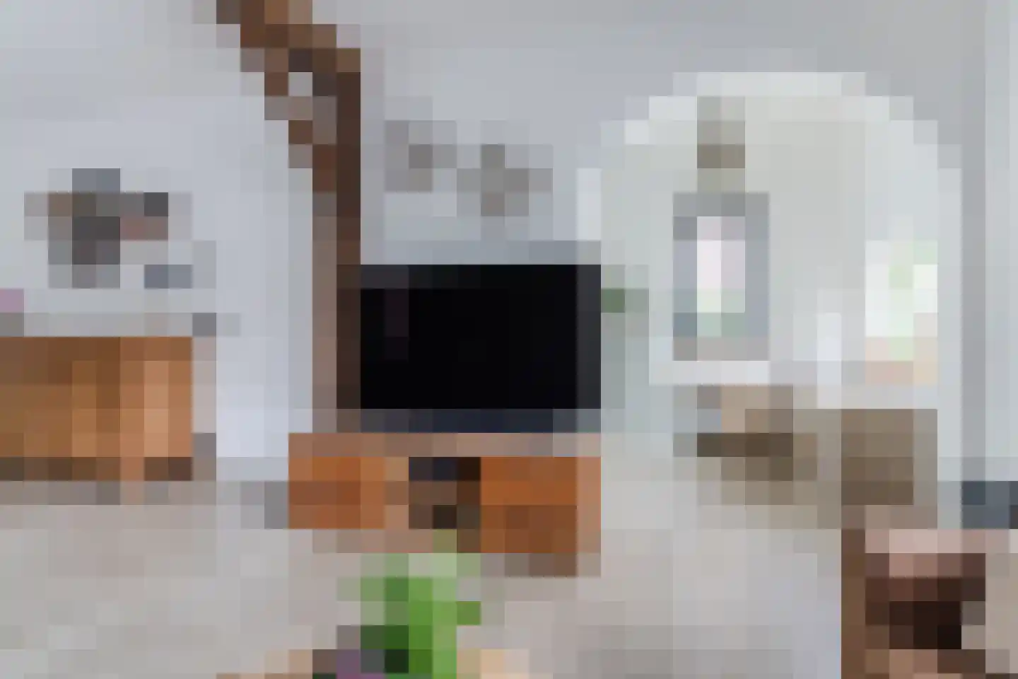 Loo 15 Bergeijk thumbnail 14