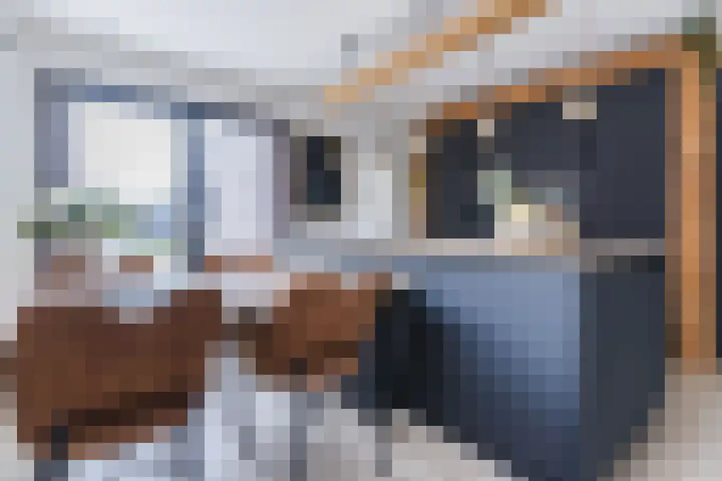 Loo 15 Bergeijk thumbnail 18