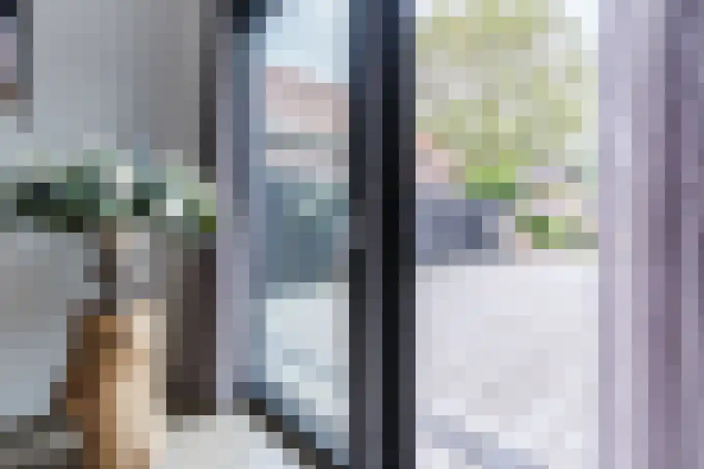 Loo 15 Bergeijk thumbnail 19
