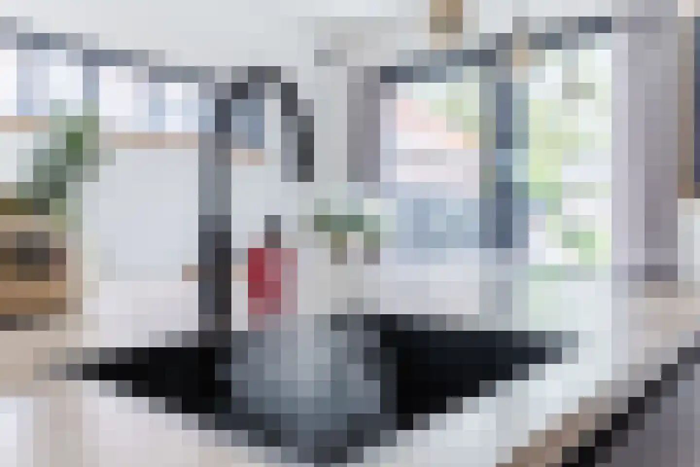 Loo 15 Bergeijk thumbnail 21