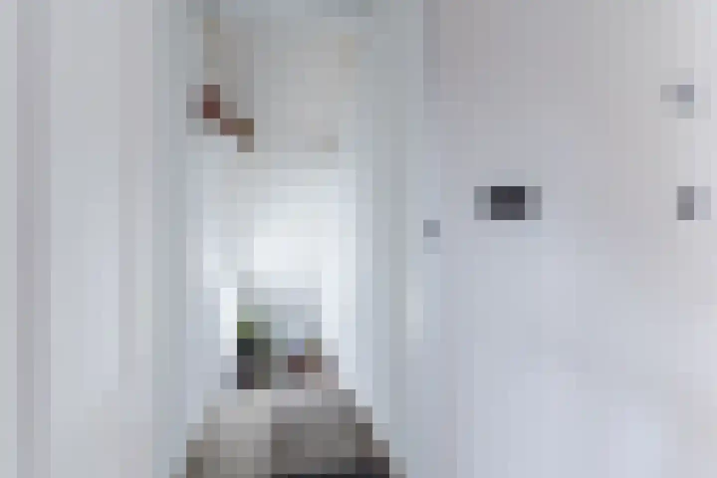 Loo 15 Bergeijk thumbnail 25